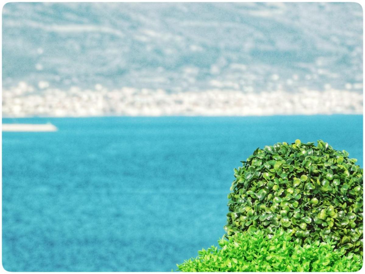Littlevenice Appartme 50M From Sea Trogir Zewnętrze zdjęcie
