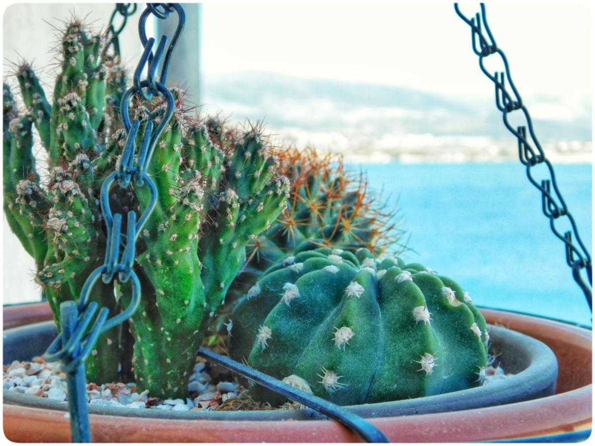 Littlevenice Appartme 50M From Sea Trogir Zewnętrze zdjęcie