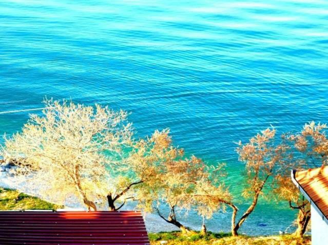 Littlevenice Appartme 50M From Sea Trogir Zewnętrze zdjęcie